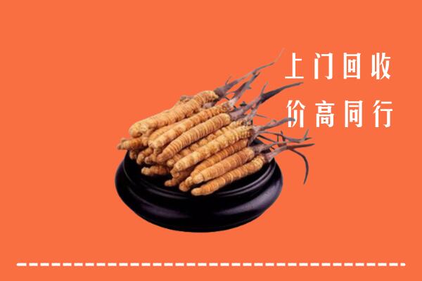 高价求购：潮州市饶平县回收散虫草