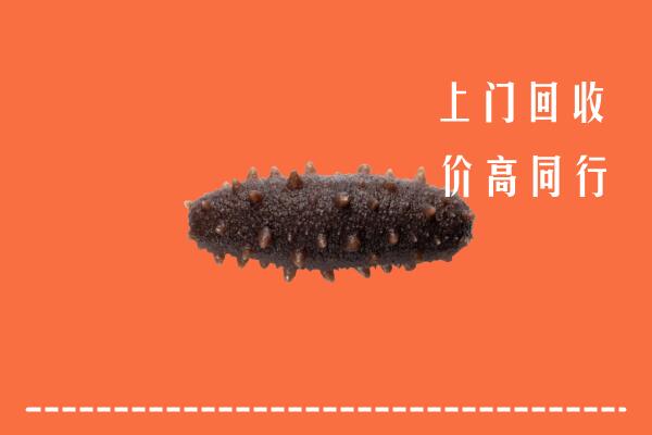 高价求购：潮州市饶平县回收海参