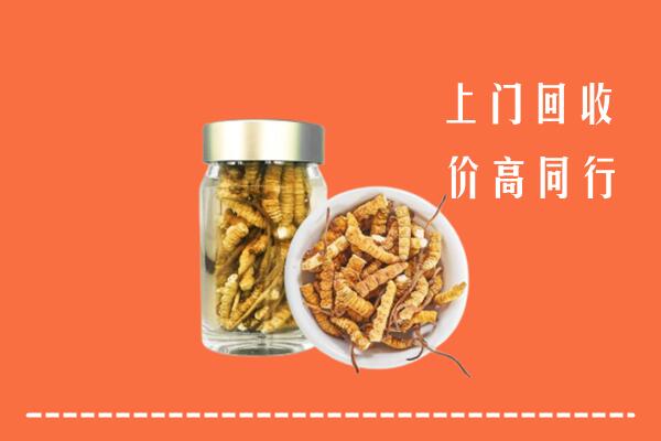 潮州市饶平县回收冬虫夏草
