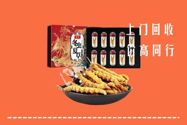 潮州市饶平县回收虫草